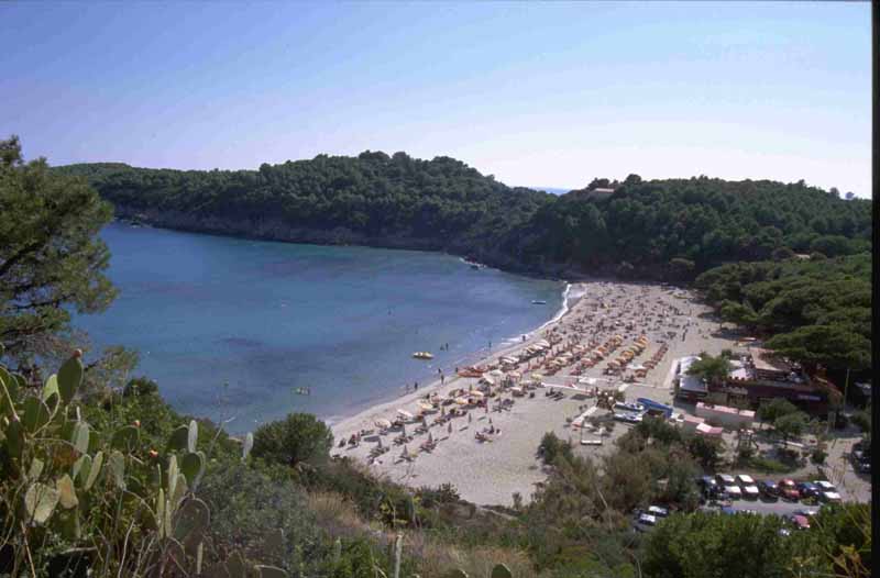 Plaa Fetovaia - otok Elba Toskana Italjia